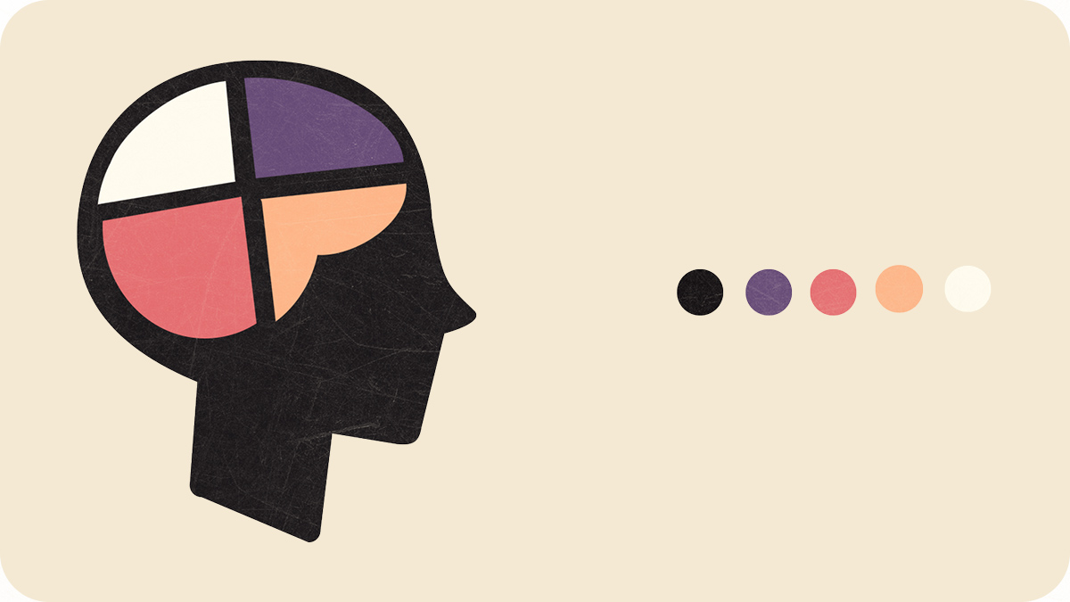 My Epilepsy Explained