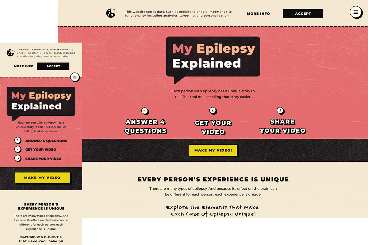 My Epilepsy Explained